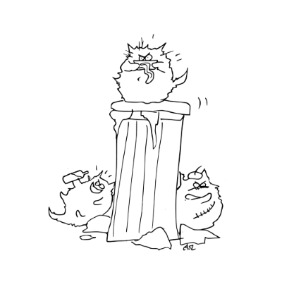 koty miejskie
